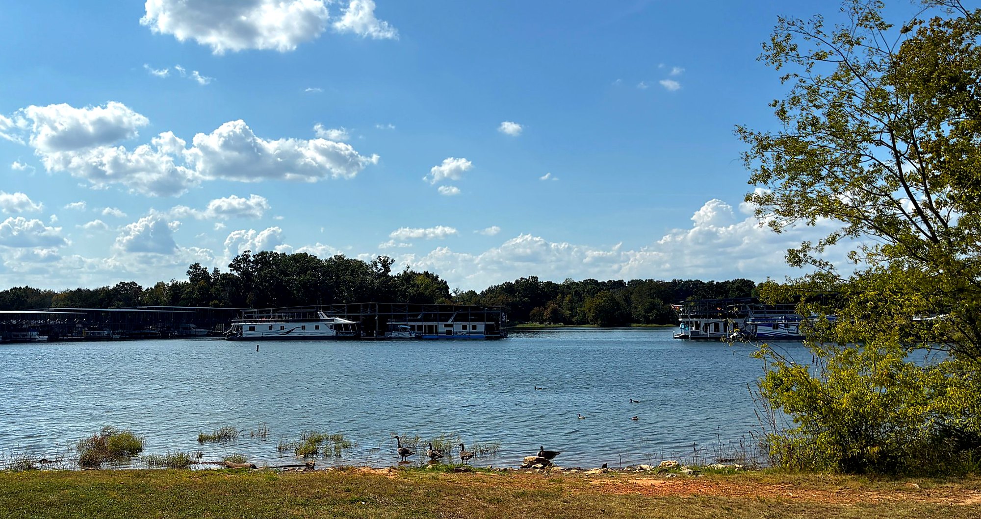 J. Percy Priest Lake with a marina and houseboats